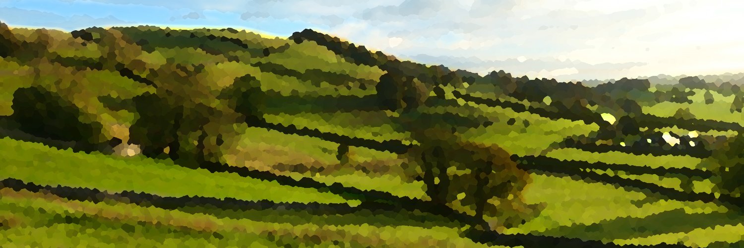 sue vickerman banner