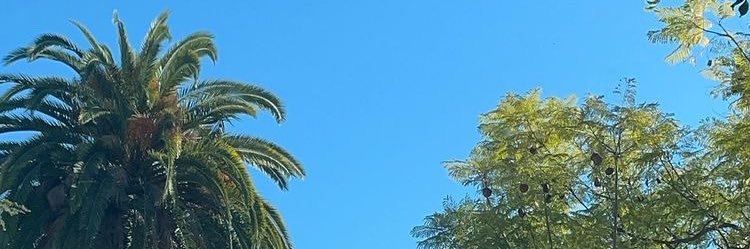 urnotcamo's profile banner image