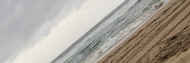 tasydee's profile banner image