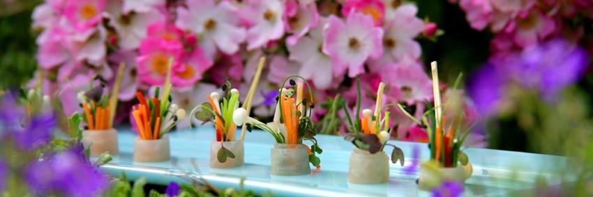 Admirable Crichton banner