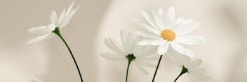 وجدان🍃 banner