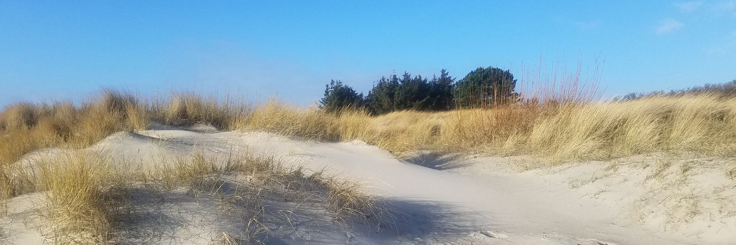 SG 💙💛🌻🇺🇦 banner