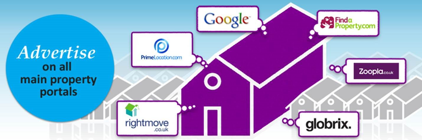 BHorseProperty's profile banner image