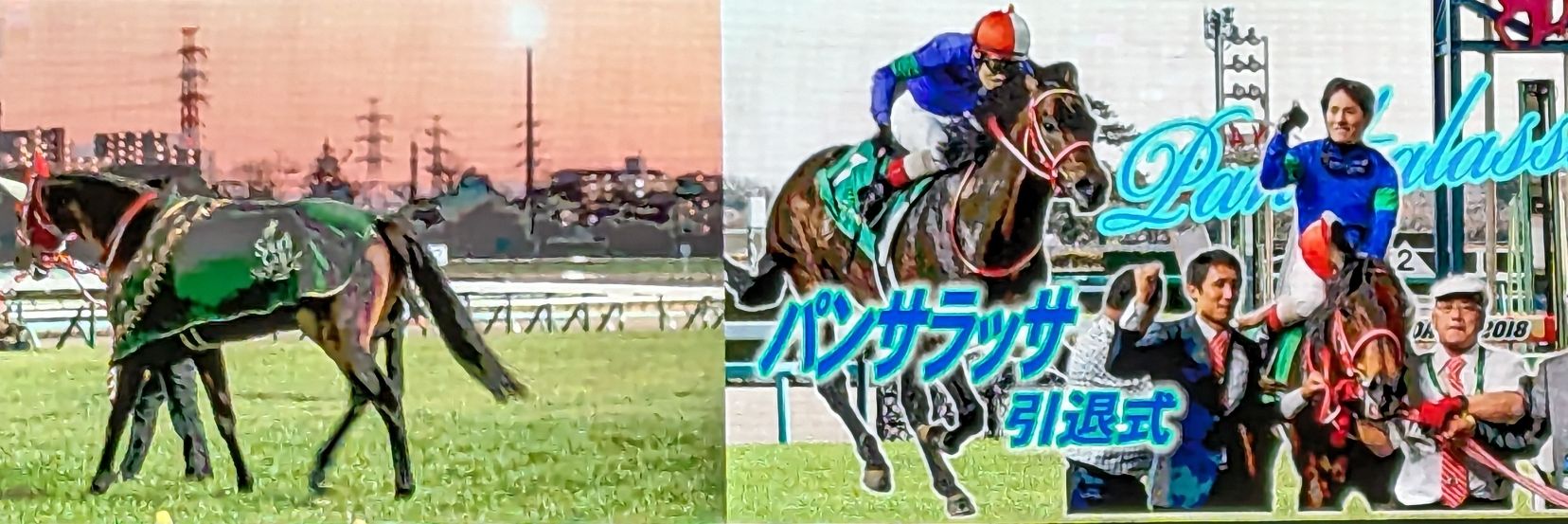 aoi_Oct28's profile banner image