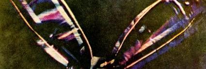 nilsbergs's profile banner image