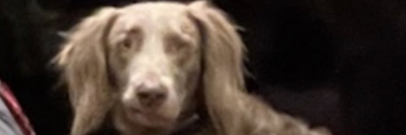 Ben_Champion13's profile banner image