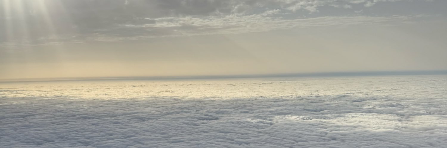 Vicent Lluch banner