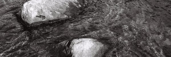 mimielashiry Profile Banner