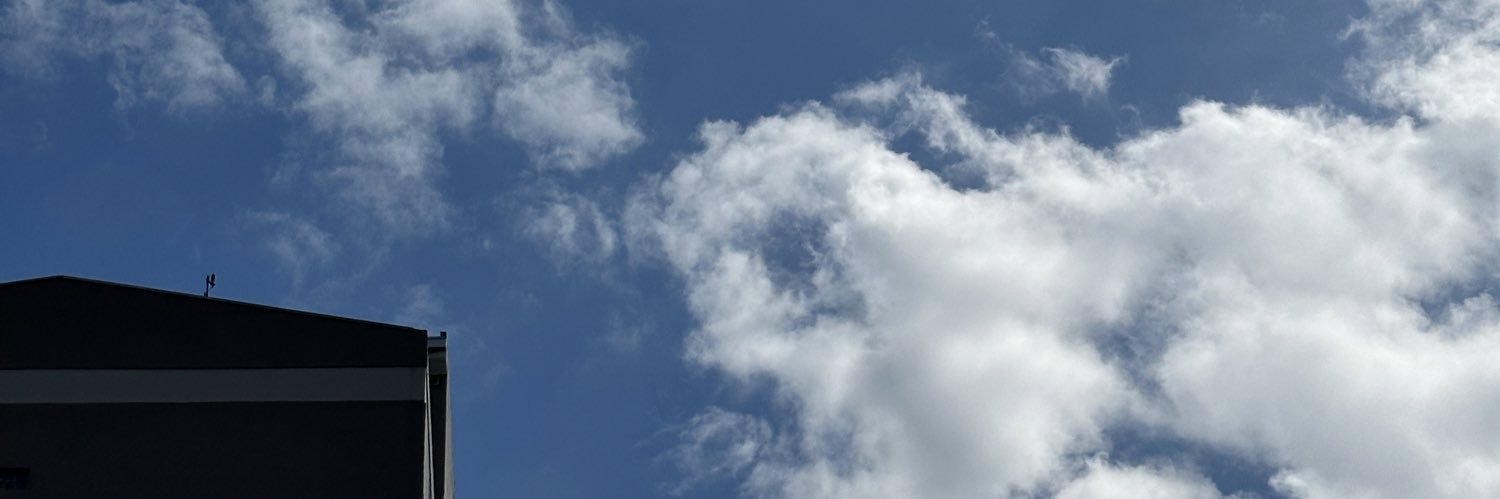 seb banner
