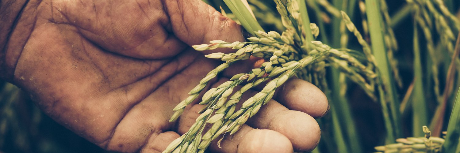 Food Security Portal (FSP) banner