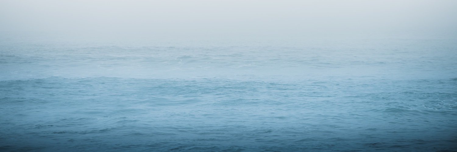 Alex Avery banner