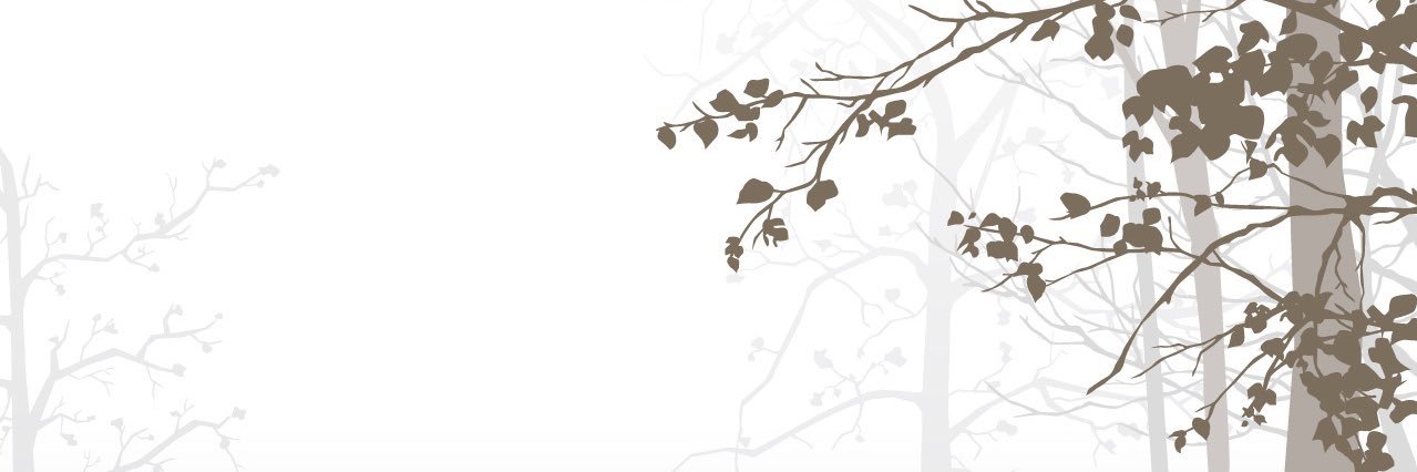 うり（鈴木麗子） banner
