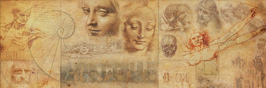 am_7al's profile banner image