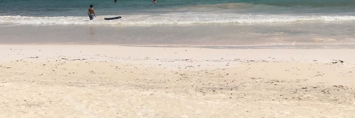 Marjorie Perry banner