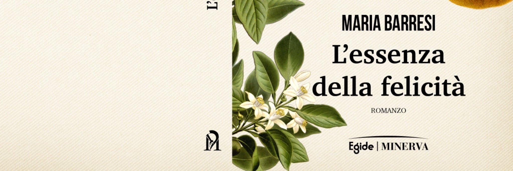 MariaBarresi1's profile banner image