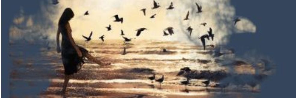 DinalParekh30's profile banner image