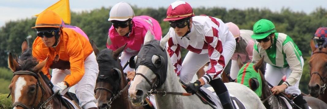 Turf Corsica banner