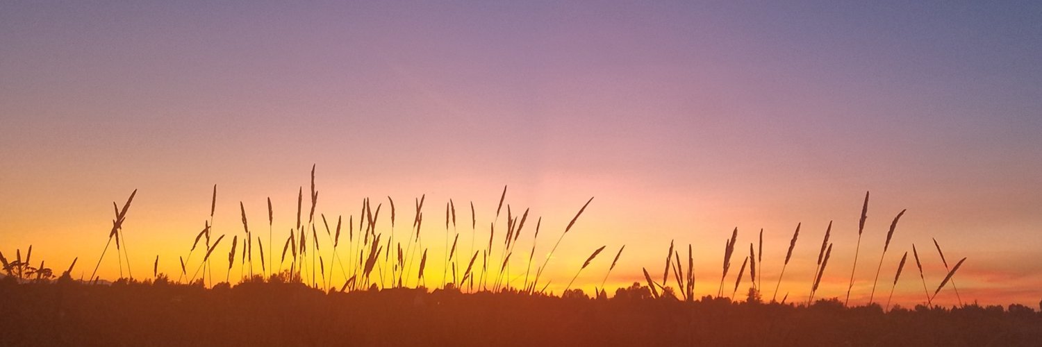 Curtis Johnson banner