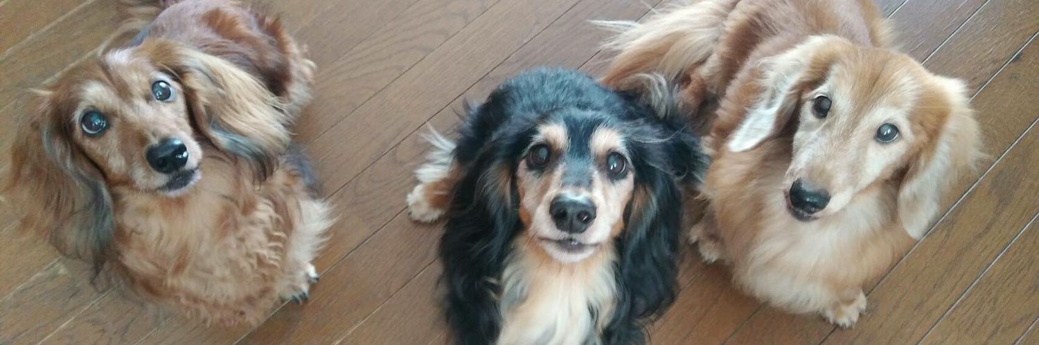 kokoatoken10's profile banner image