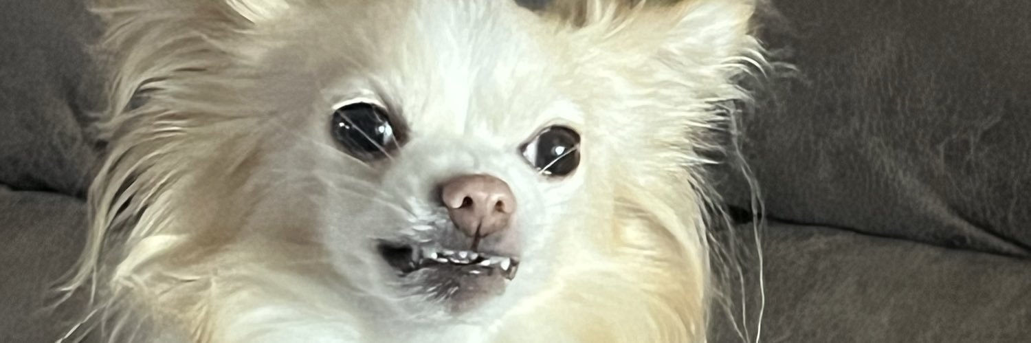 alleematthis's profile banner image