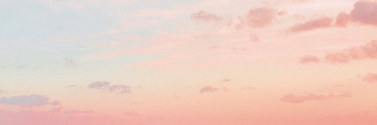 SalomeAssous's profile banner image