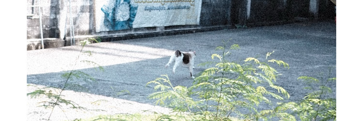 3punpunpic's profile banner image