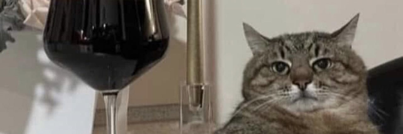 HayleeTheHawk's profile banner image