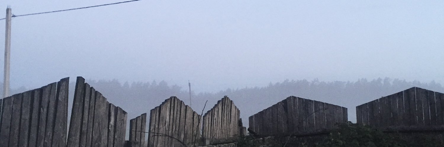 liliandamn's profile banner image
