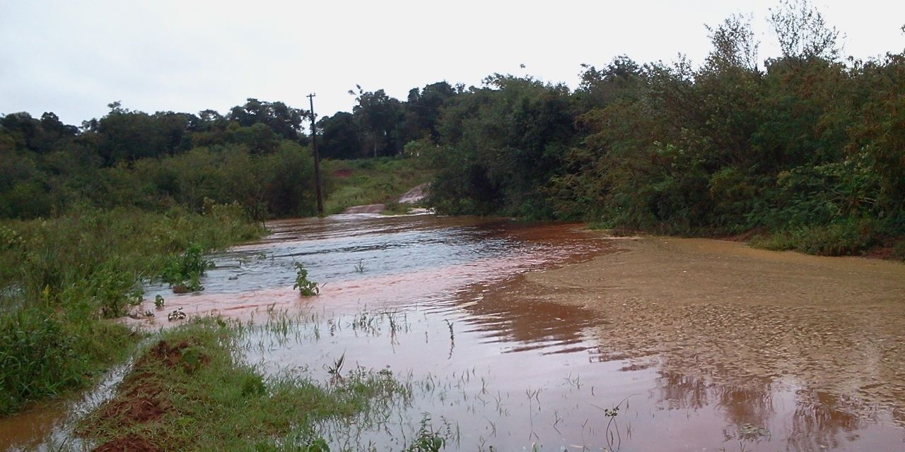 Vidal ☆☆☆ banner