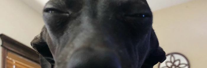 laura6200's profile banner image