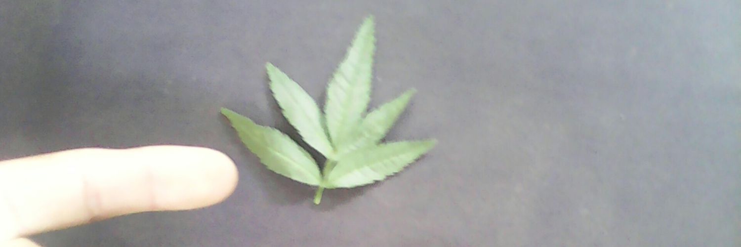 Buen_Chico21's profile banner image