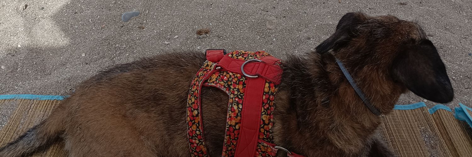 Josele🇵🇸 banner