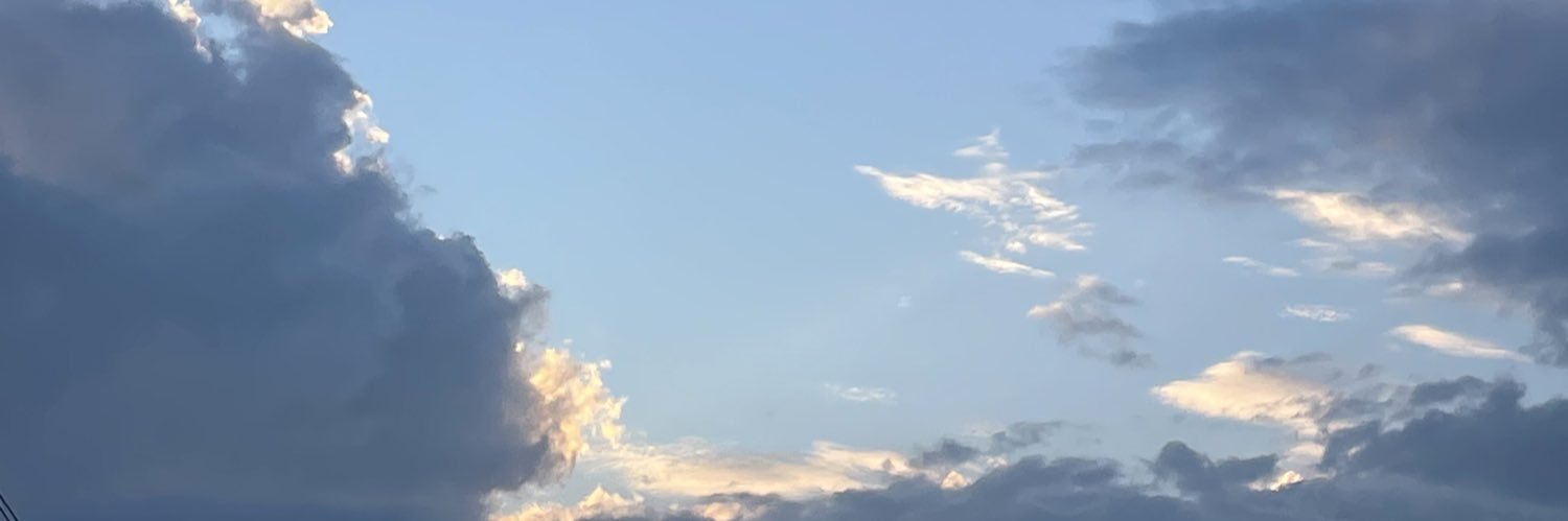 pternx's profile banner image