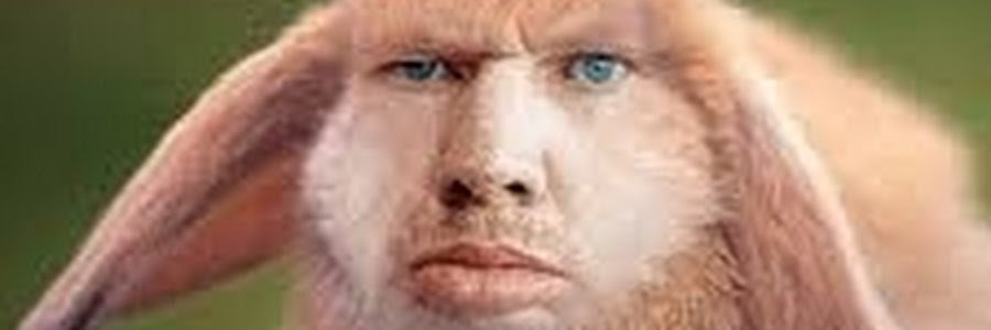itsTimPie's profile banner image