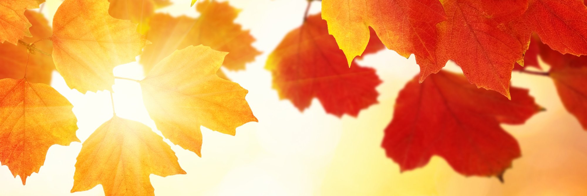 CoastProduce's profile banner image