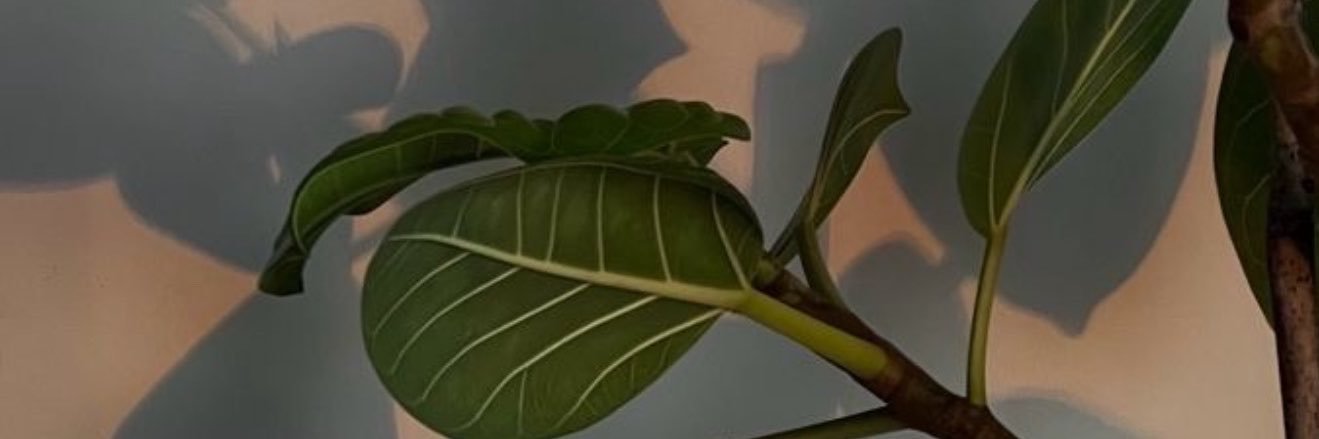 𝐒. banner