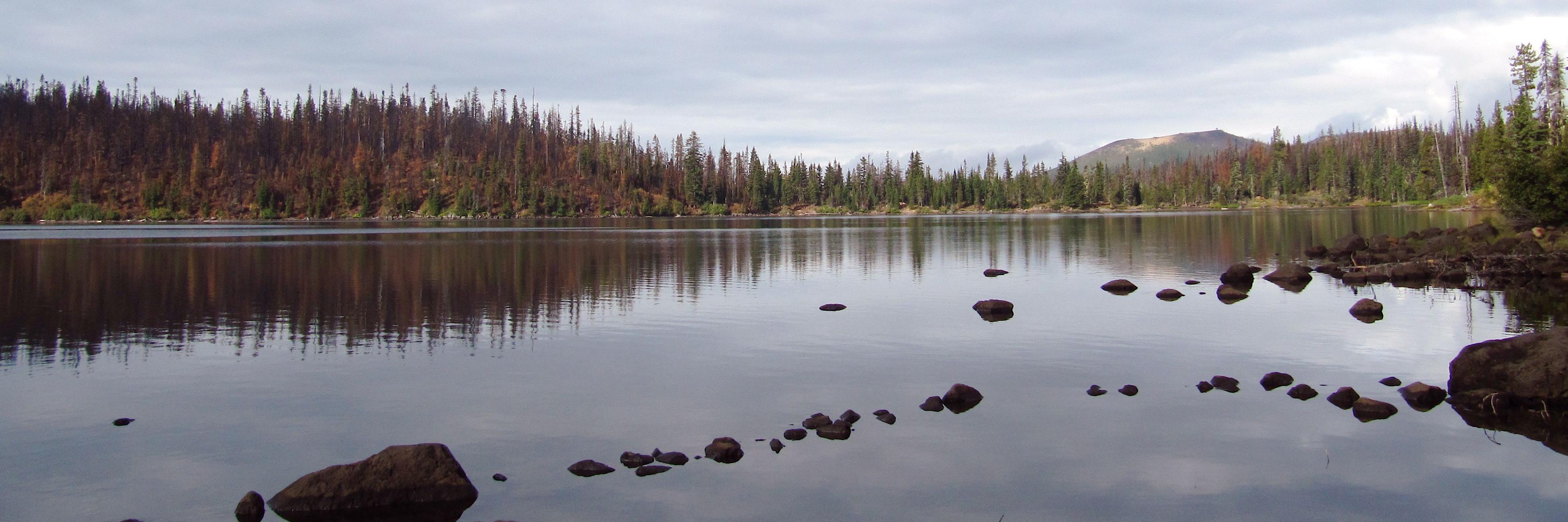 NW Fire Science Consortium banner