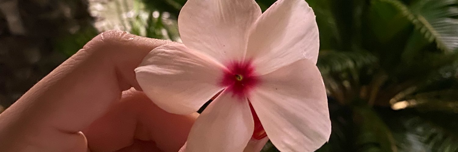 VeronicaRosablu's profile banner image