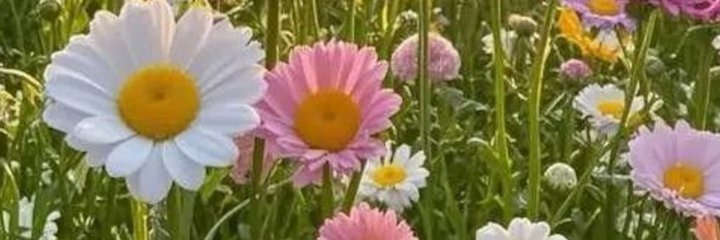 emilymcm88's profile banner image