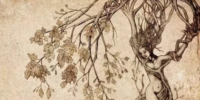 Keythong's profile banner image