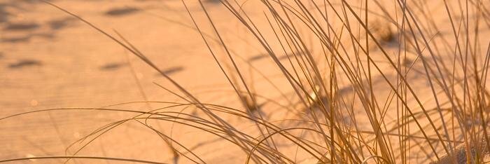 Social Life Magazine banner