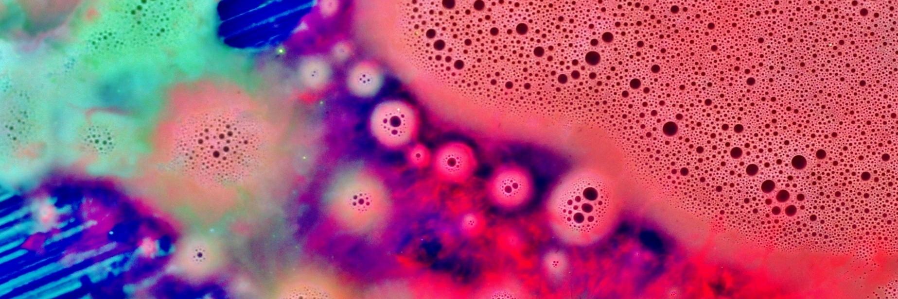 XandraLunar's profile banner image