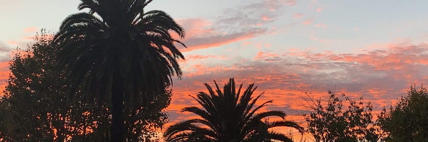 TheRealSeaJee's profile banner image
