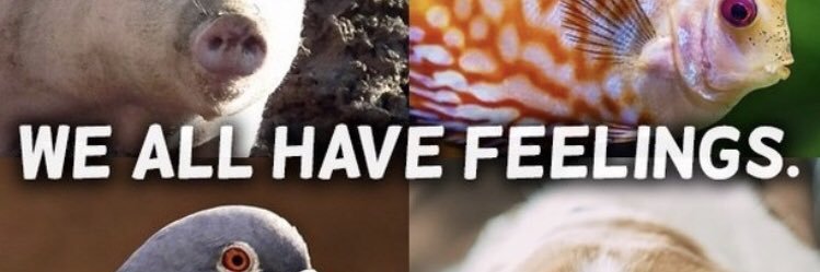 janaleehamblin's profile banner image