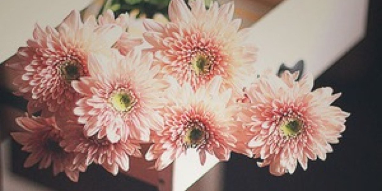 shim_8's profile banner image