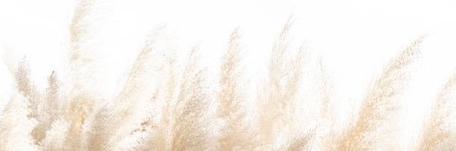 ranimayx's profile banner image