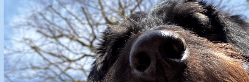 EBlackhurst's profile banner image