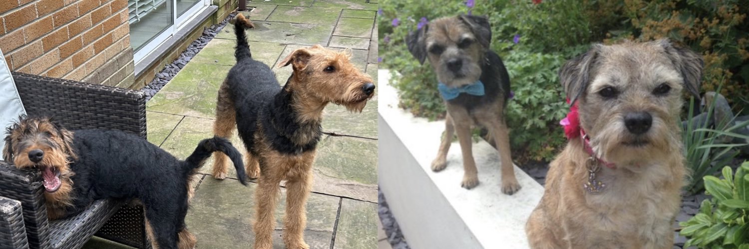 Phoebe & Hugo Dale🌈Jack and Molly OTRB🌈 banner