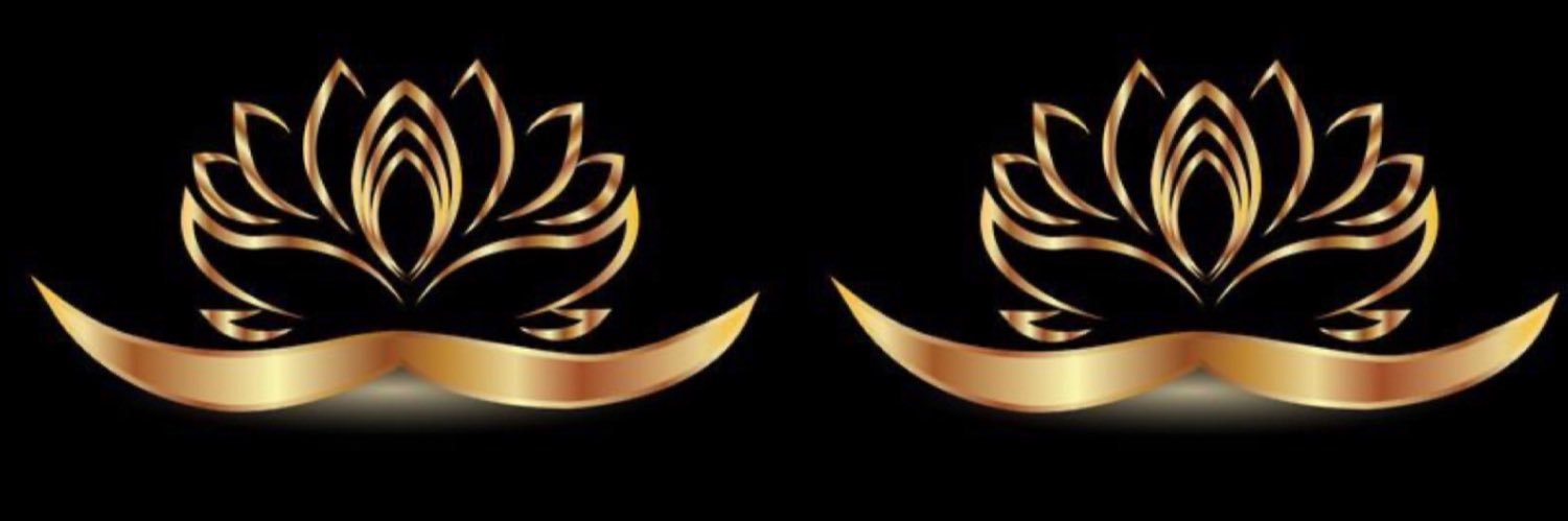 MissLaniece's profile banner image