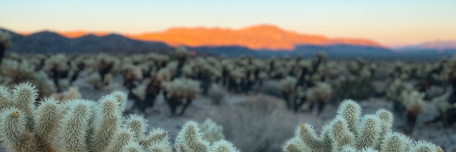 beetrizmartinez's profile banner image